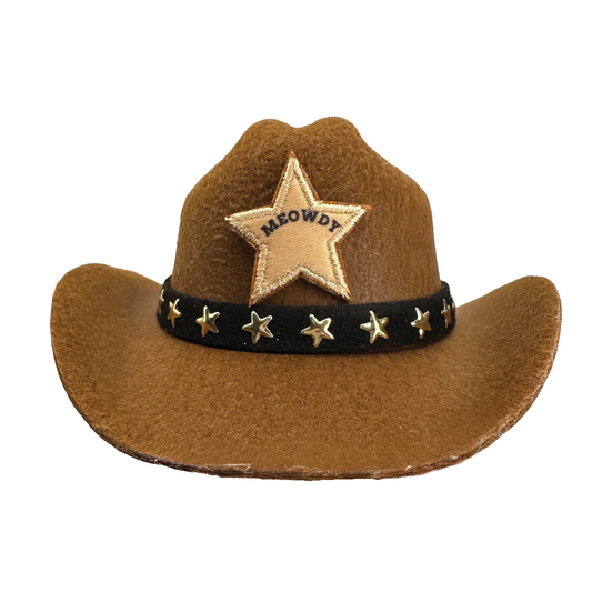 Front of a cowboy hat for a cat