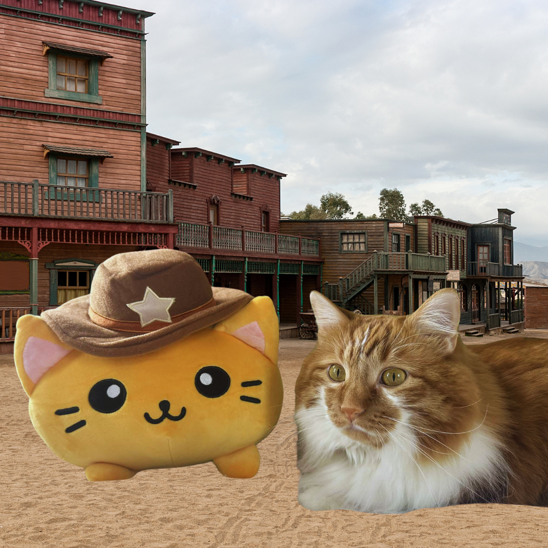 Cowboy Cat Stuffed Animal with Cat beside it