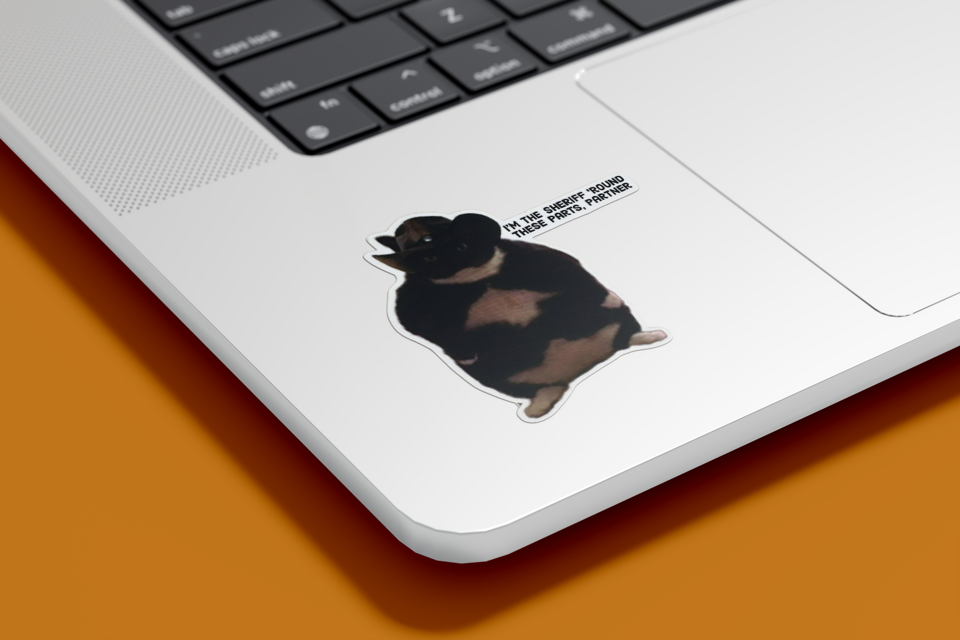 Cowboy Cat Sticker on Laptop